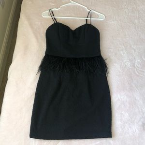 Nordstrom Feathery Dress
